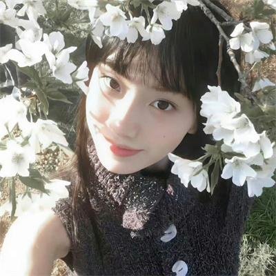 伊娜:初生之犊