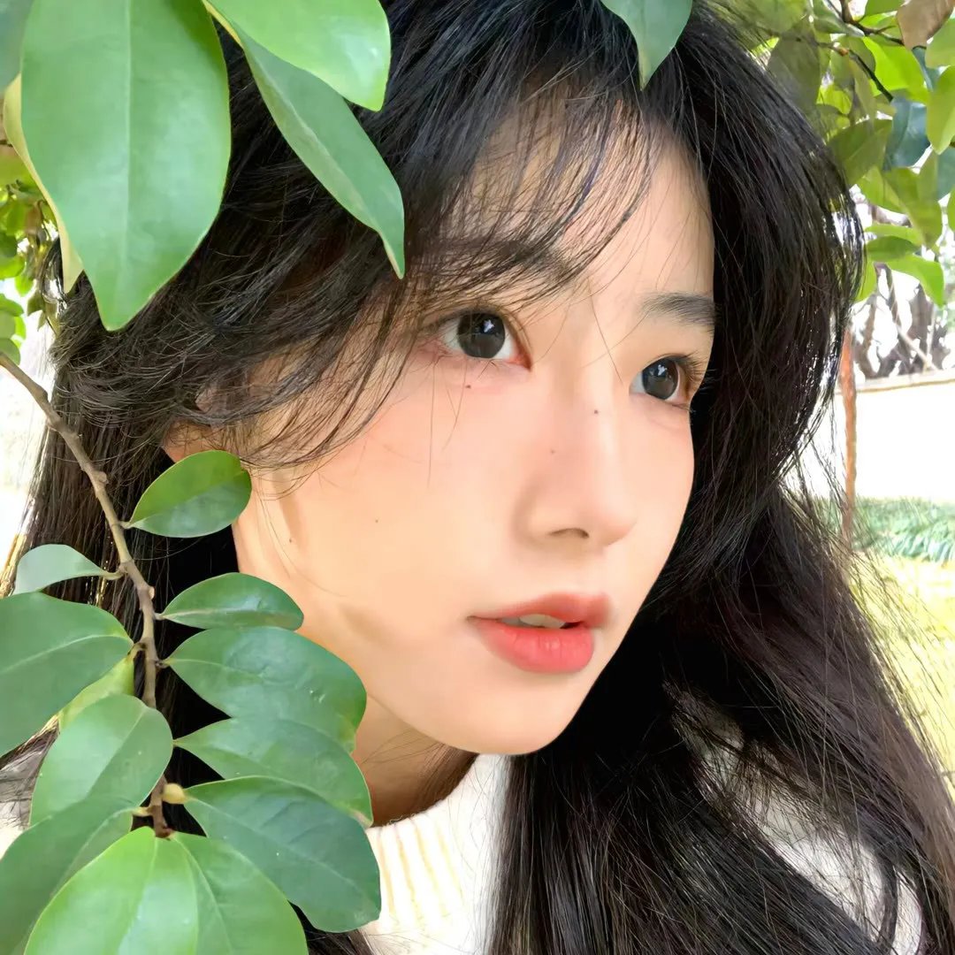 第三春